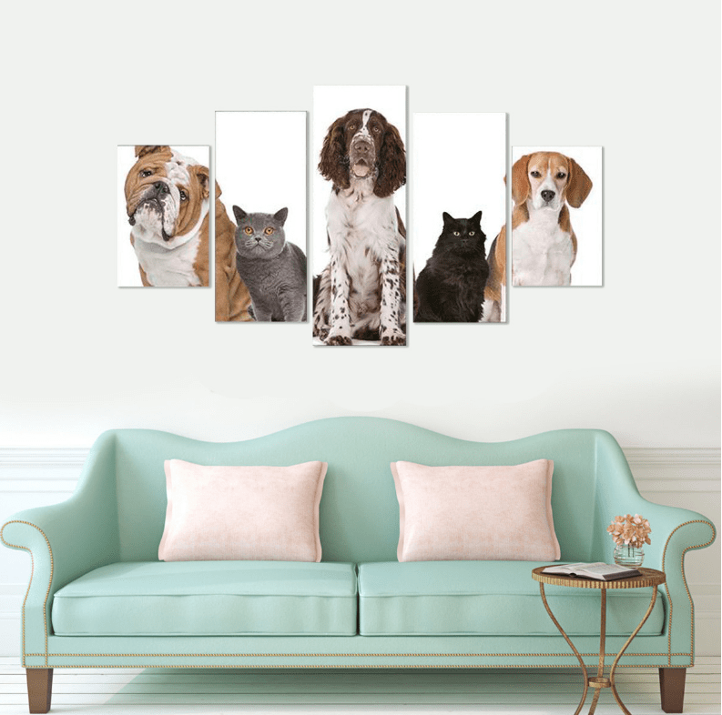 Pet Animal Canvas Wall Art