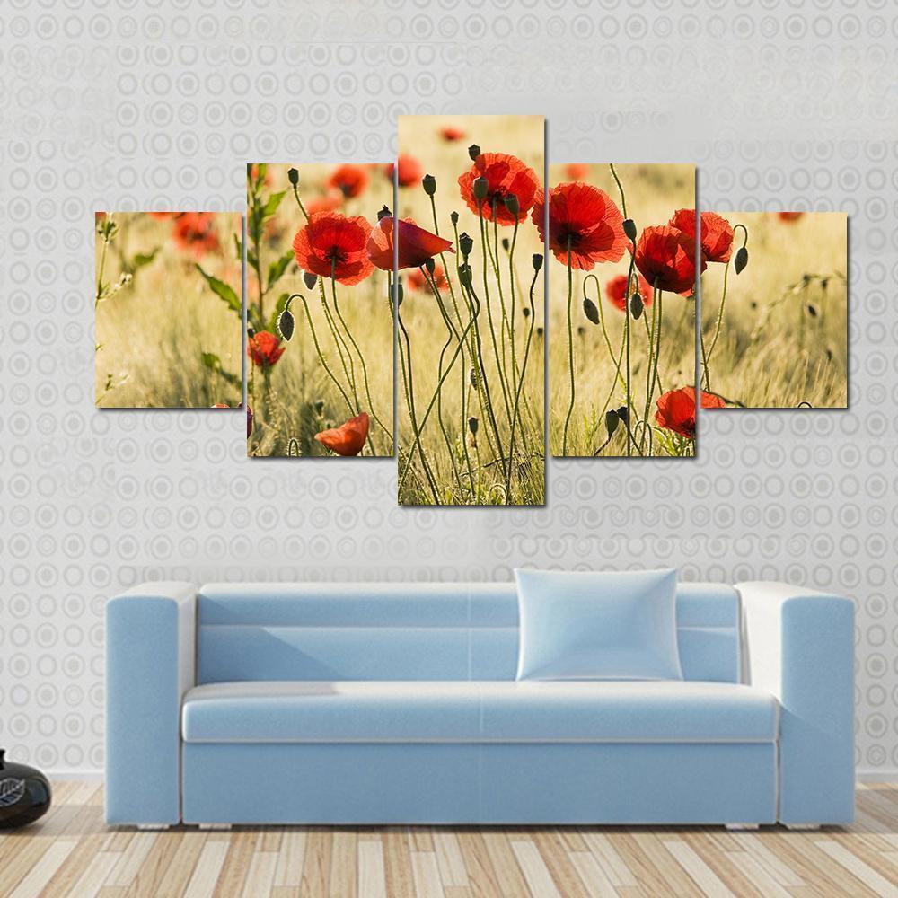 Poppy Flower Field Nature Canvas Wall Art