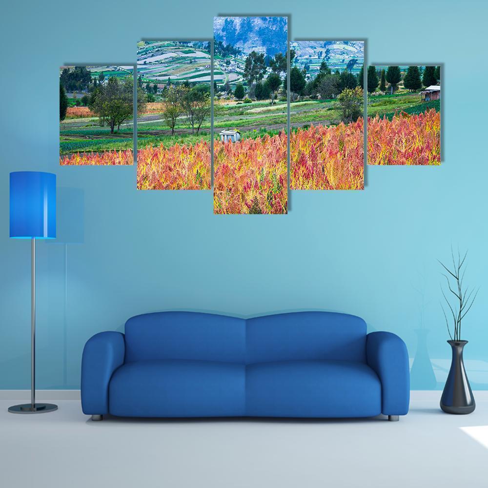 Quinoa Cultivated Fields Nature Canvas Wall Art