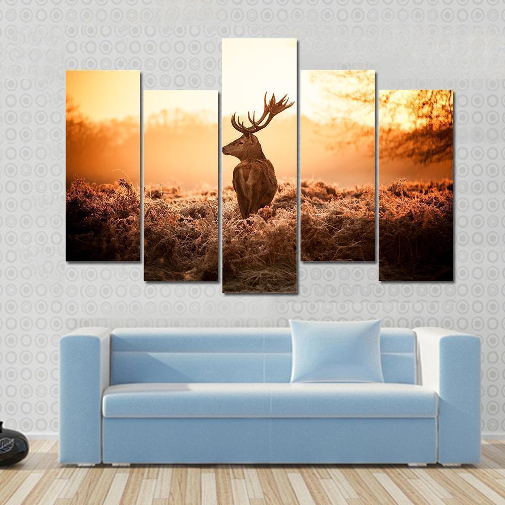 Red Deer Looking Around In Morning Sun Animal Canvas Wall Art