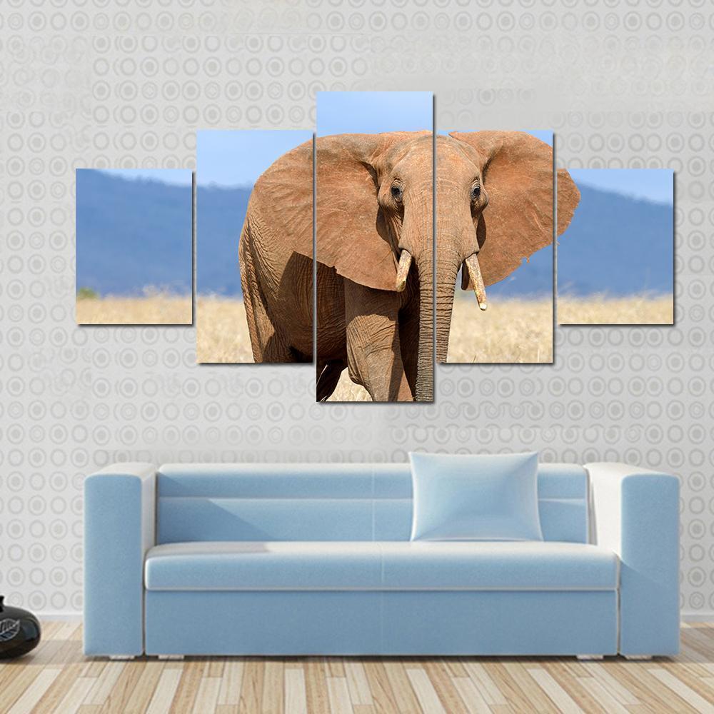 Red Elephant In Africa Animal Canvas Wall Art