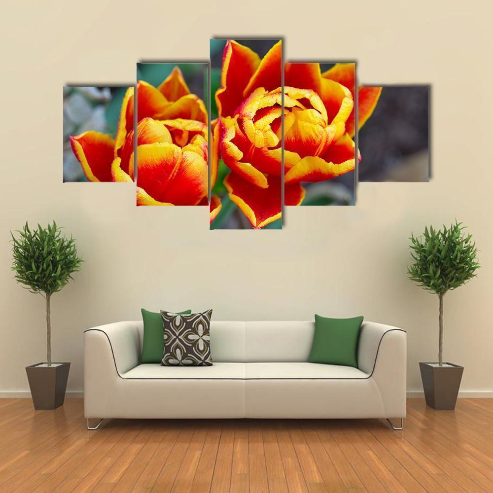 Red Tulips Close-up Nature Canvas Wall Art