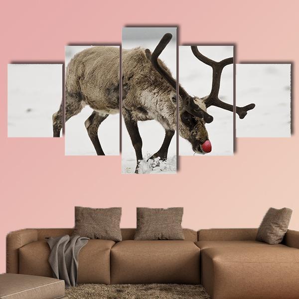 Reindeer &amp;amp; Red Nose Animal Canvas Wall Art
