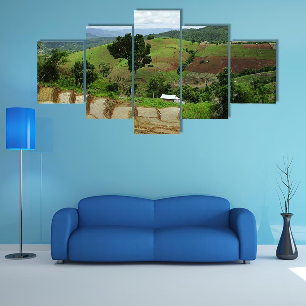 Rice Terrace At Maechaem In Thailand Nature Canvas Wall Art